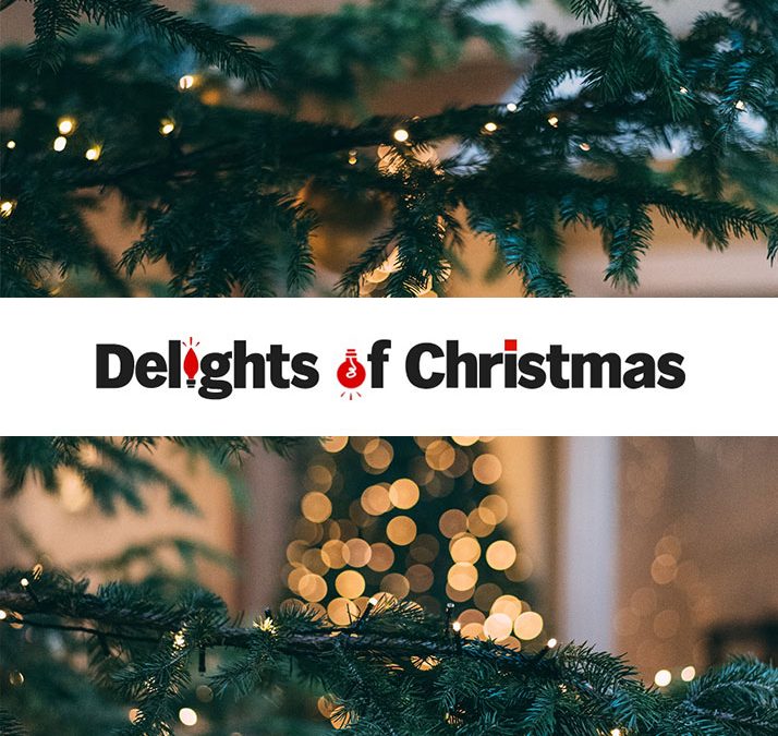 Delights of Christmas Website Development